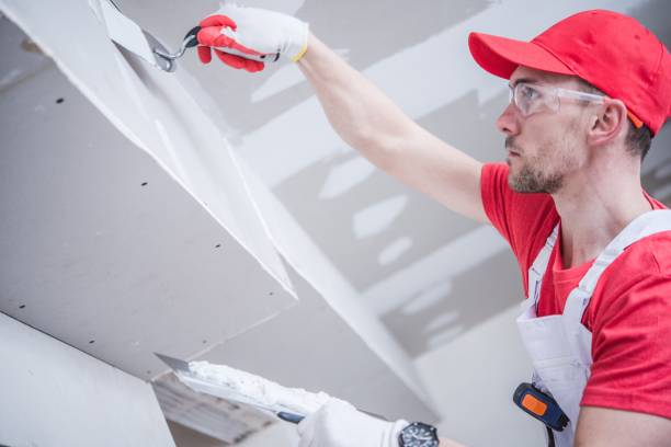 Best Fire-Damaged Drywall Repair  in Fairview, MT